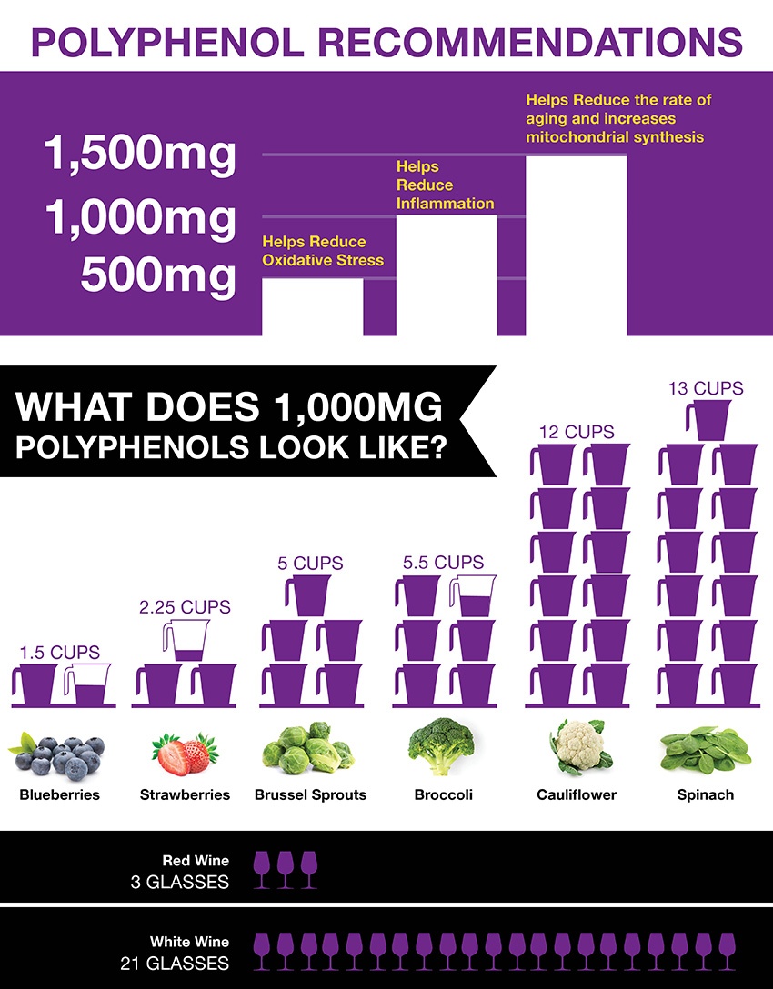 What Are Polyphenols and How Much You Need